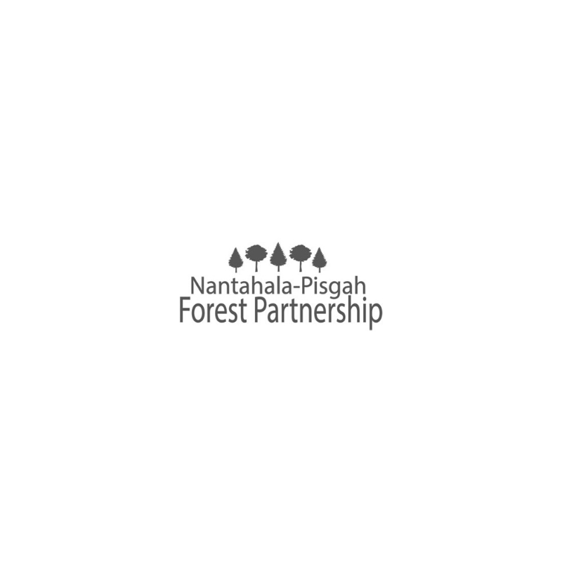 Nantahala Pisgah Forest Partnership