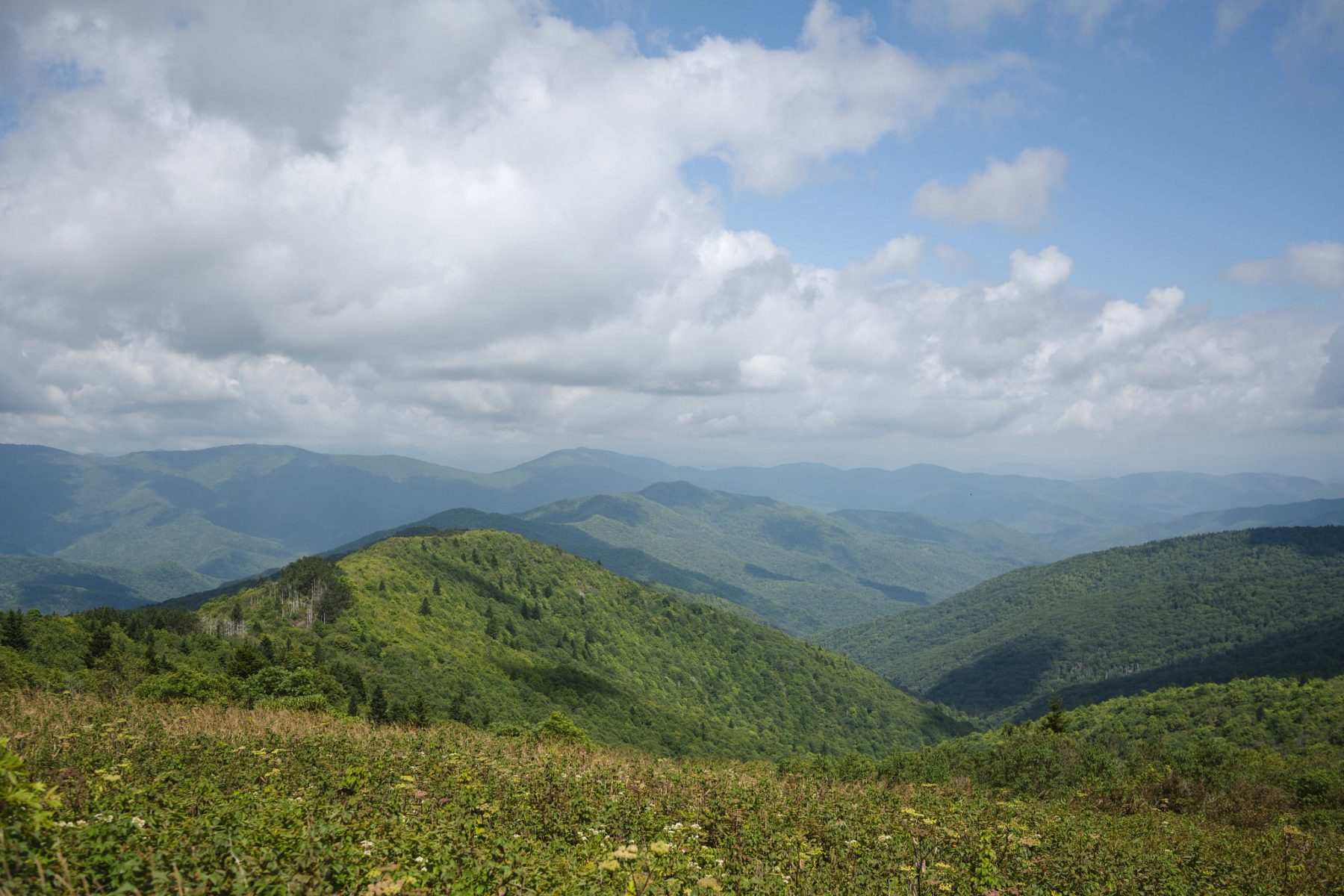 Rolling green mountains covered in dense forest stretch into the distance under a partly cloudy sky, with patches of sunlight illuminating the landscape. Darby Communications PR + Digital Marketing