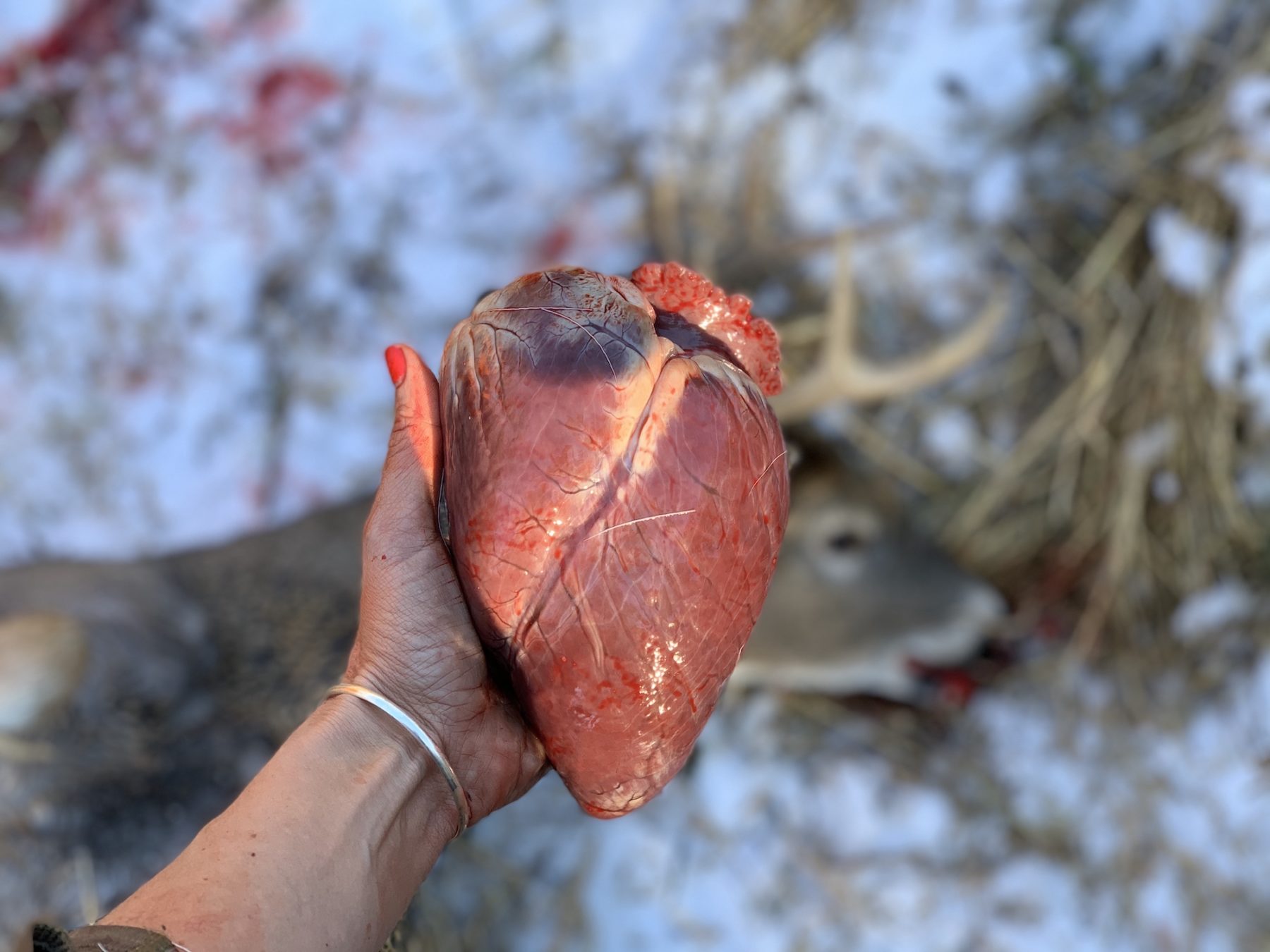 Woman holding the heart of a deer with it lying in background
