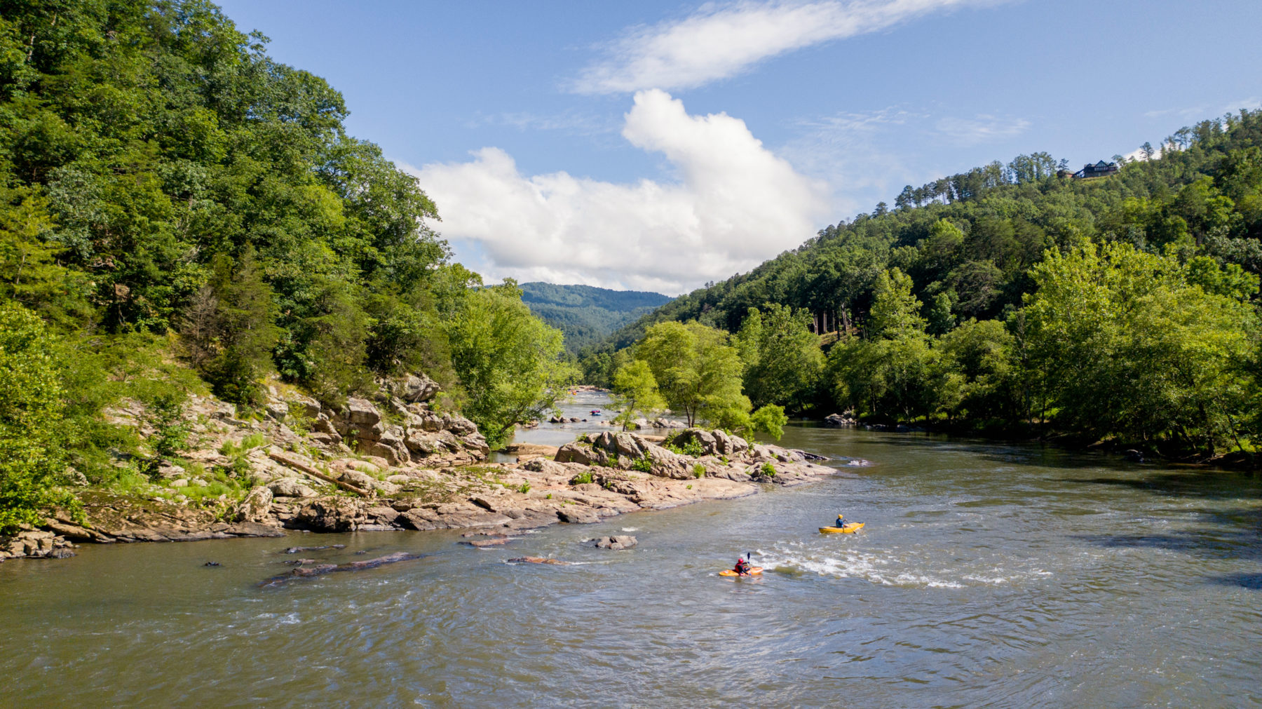 Kayakers paddling the French Broad River