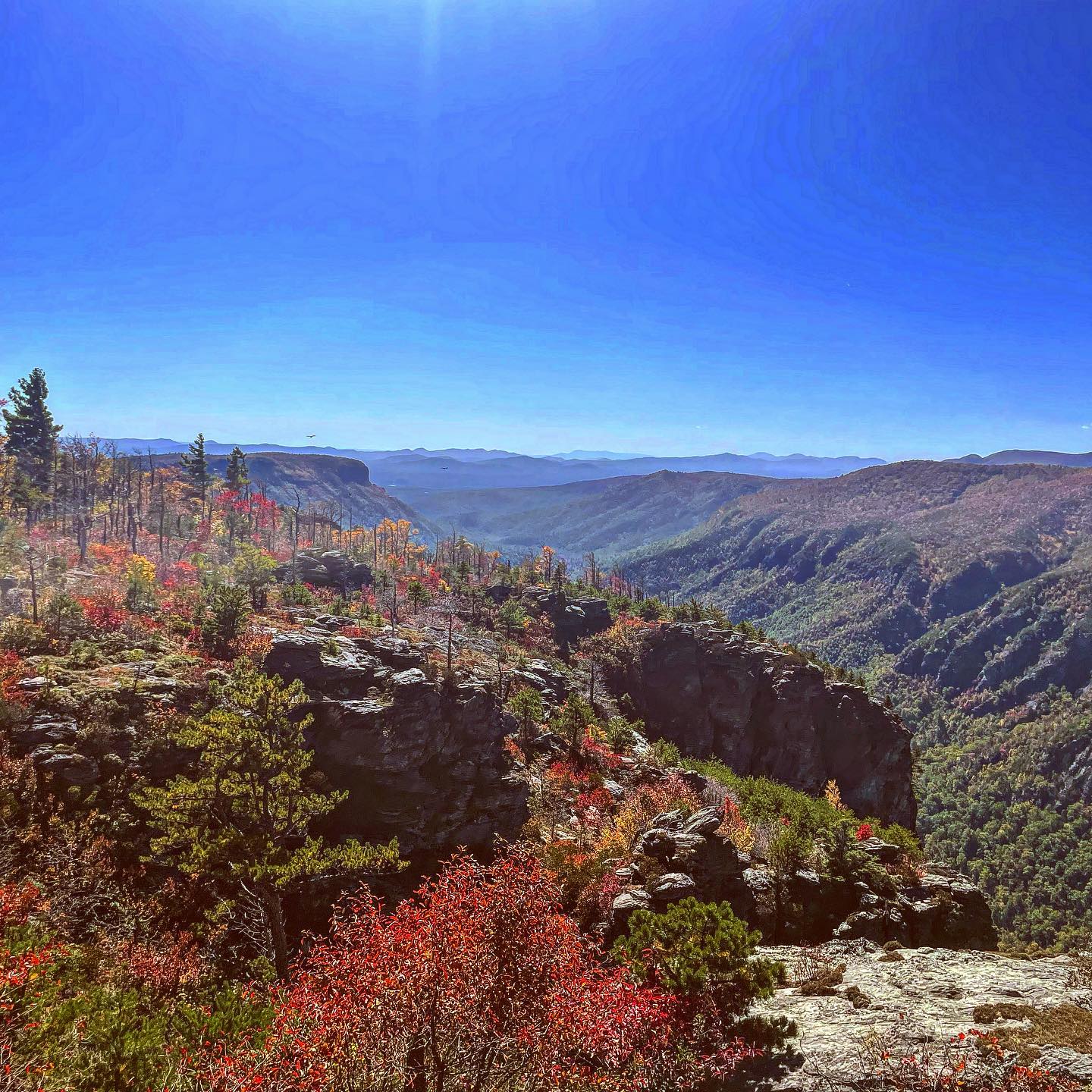 View of Linville Gorge in the fall with rocky crags and colorful leaves. 