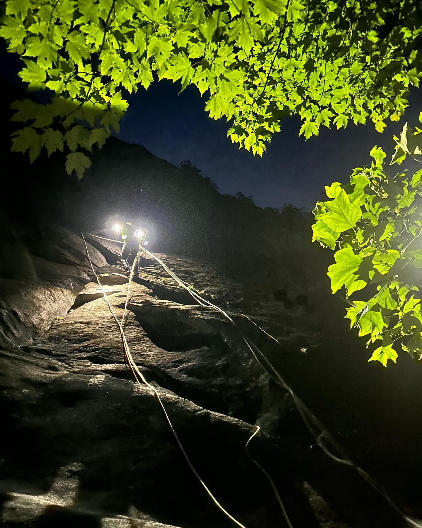 People climbing a rock at night with headlamps on.