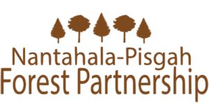 Nantahala-Pisgah Forest Partnership