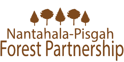 Nantahala-Pisgah Forest Partnership