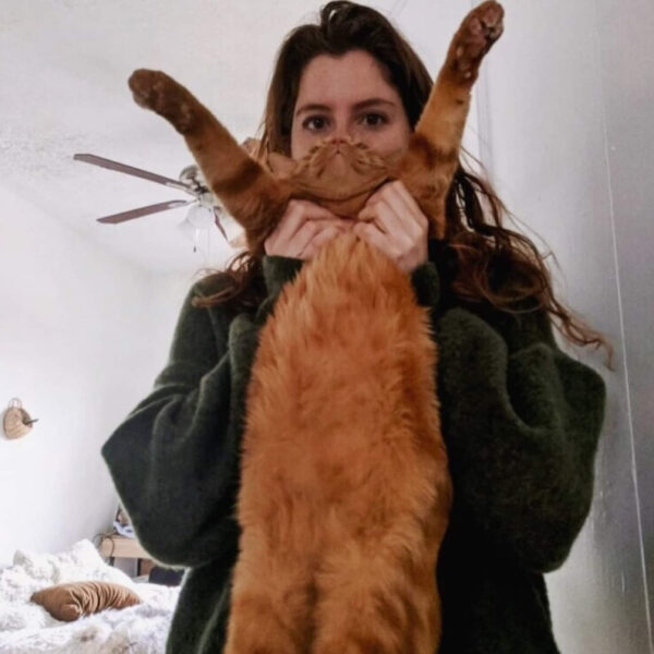 Woman holding a cat with it's orange belly showing